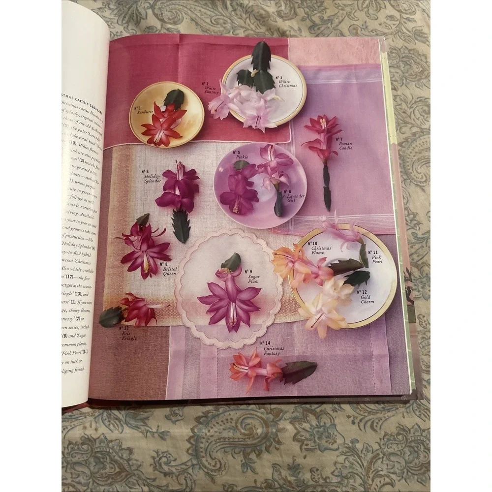 Martha‎ Stewart Classic Crafts and Recipes for the Holidays, Hardcover, 2001